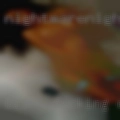 Black fucking dating