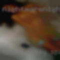 Naked pussy Spartanburg